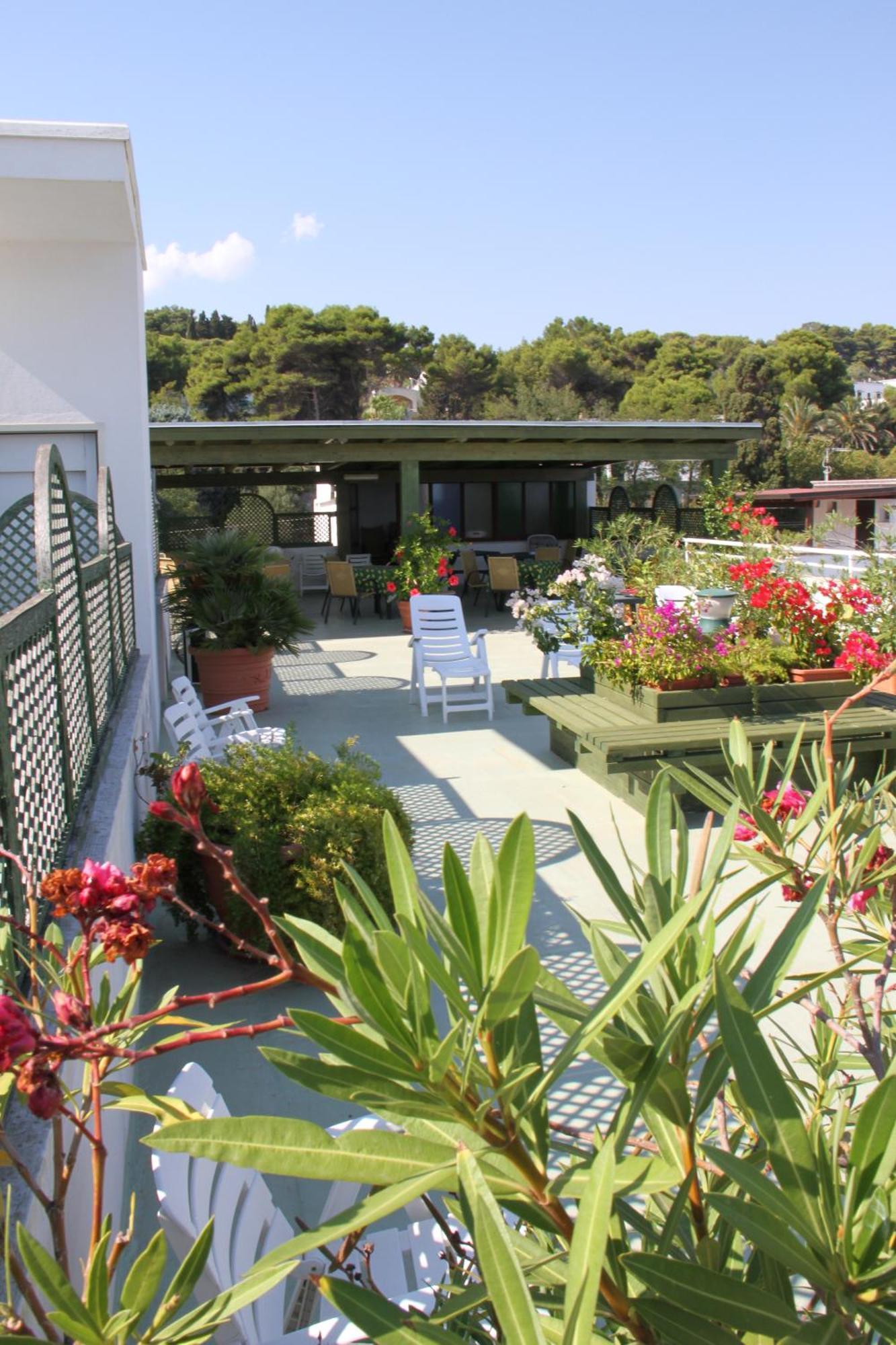 Il Vascello Marina Serra